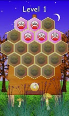 honey bee